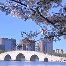 北京旅游 缩略图 8