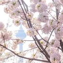北京旅游 缩略图 5
