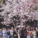 北京旅游 缩略图 3