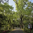 广州旅游 缩略图 11