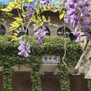 福州旅游 缩略图 2