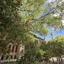 福州旅游 缩略图 11