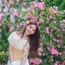 深圳旅游 缩略图 5