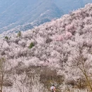 北京旅游 缩略图 3