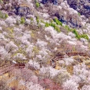 北京旅游 缩略图 15