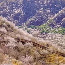 北京旅游 缩略图 16