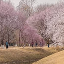 北京旅游 缩略图 12