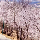 北京旅游 缩略图 13