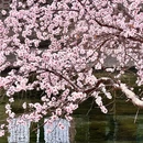 北京旅游 缩略图 6