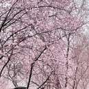 北京旅游 缩略图 4