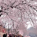 北京旅游 缩略图 3