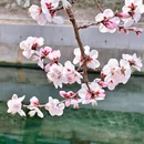 北京旅游 缩略图 13