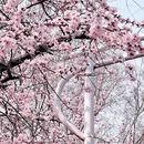 北京旅游 缩略图 10