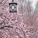 北京旅游 缩略图 15