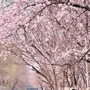 北京旅游 缩略图 2