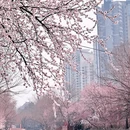 北京旅游 缩略图 18