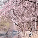 北京旅游 缩略图 8