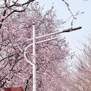 北京旅游 缩略图 16