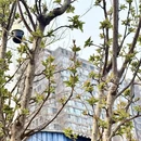 北京旅游 缩略图 6