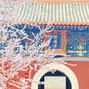 北京旅游 缩略图 18