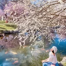 北京旅游 缩略图 2