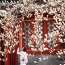 北京旅游 缩略图 8