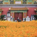 北京旅游 缩略图 5