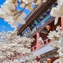 北京旅游 缩略图 4