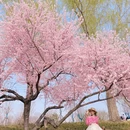 北京旅游 缩略图 10