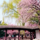 北京旅游 缩略图 11