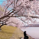 北京旅游 缩略图 9