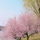 北京旅游 缩略图 15