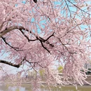 北京旅游 缩略图 8