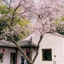 北京旅游 缩略图 12