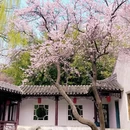 北京旅游 缩略图 17