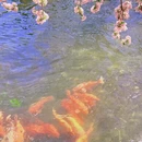 北京旅游 缩略图 8