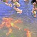 北京旅游 缩略图 10