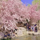 北京旅游 缩略图 11