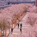 北京旅游 缩略图 7