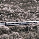 北京旅游 缩略图 4
