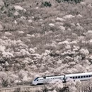 北京旅游 缩略图 3