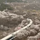 北京旅游 缩略图 1