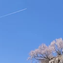 北京旅游 缩略图 13
