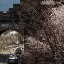 北京旅游 缩略图 5