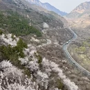 北京旅游 缩略图 4