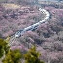 北京旅游 缩略图 4