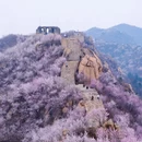 北京旅游 缩略图 1