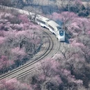 北京旅游 缩略图 3