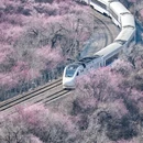 北京旅游 缩略图 1