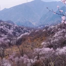 北京旅游 缩略图 3